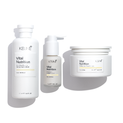 Kräftigendes Bündel